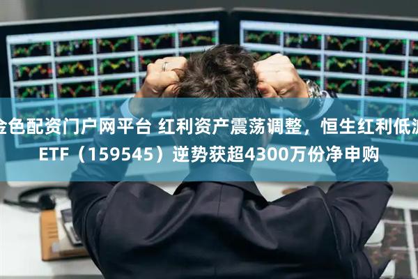 金色配资门户网平台 红利资产震荡调整，恒生红利低波ETF（159545）逆势获超4300万份净申购